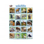 Statesman Poster Wildlife